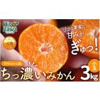 果物類 みかん 由良早生 訳あり 3kg