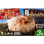 肉 ハンバーグ ハンバーグ〈電子レンジ 湯煎OK