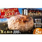 肉 ハンバーグ 黒毛和牛100% 超ハンバーグ