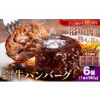 さつま福永牛 ハンバーグ 6個