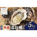 ふるさと納税 牡蠣 生牡蠣 宮崎県 延岡市 延岡産天然岩牡蠣(生食用)5kg(中)(2025年4月から発送開始 N036-YB306 N036-B306 延岡産天然岩牡蠣(生食用)5k…