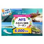 宿泊券 ホテル HIS クーポン 6 000円分