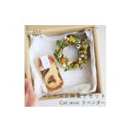 焼菓子 チョコレート クッキー 富良野 花七曜