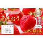 ふるさと納税 いちご 福岡県 太宰府市  特別栽培／有機質肥料／アフター保証 うるう農園 あまおう サイズ色々 4パック （約1140g） 2026年3月上旬〜2026年4月…