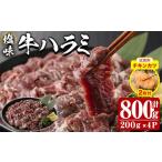 牛肉 試食用チキンカツ付 塩味 牛ハラミ 計800g