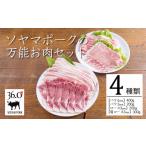 豚肉 セット ソヤマポークの万能お肉セット4種類1.1kg