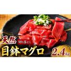 旬の鮮魚等 天然 メバチマグロ 切り落とし 2.4kg