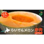 ふるさと納税 メロン メロン赤肉 北海道 共和町 2025年 8月 出荷 先行予約 メロン 北海道 共和町産 らいでんメロン 赤肉 2玉 セット