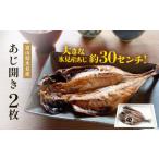 ふるさと納税 干物 アジ 富山県 氷見市 氷見産あじ開き 2枚 約30センチ 富山湾海の幸 〈冷凍〉