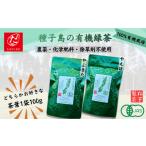 お茶類 緑茶 茶葉 ティーバッグ R8年産 たねがしまる4000