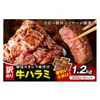 牛ハラミ サガリ 秘伝のタレ込み 味付け肉 1.2kg