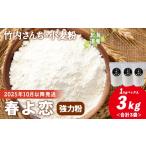 米 パン 竹内さんちの小麦粉 春よ恋 1kg×3袋