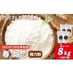 米 パン 竹内さんちの小麦粉 春よ恋 2kg×4袋