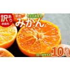 ふるさと納税 果物類 みかん 高知県 香南市 訳あり(家庭用) サイズお任せ 早生みかん 10kg 3S〜Mサイズ - 訳アリ フルーツ 果物 くだもの 果実 甘い あまい 酸…