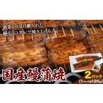 鰻 鰻蒲焼 2パック