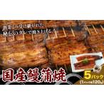 鰻 鰻蒲焼 5パック