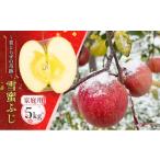 ふるさと納税 りんご 青森県 板柳町 蜜入り14度糖度保障 家庭用 雪蜜ふじ〜葉とらずの奇跡〜約5kg 青森りんご・マルコウアップル 果物類 フルーツ 林檎 リンゴ…