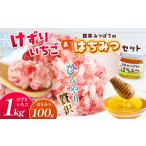 いちご けずりいちごと日本みつばちのはちみつ セット