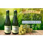 ワイン スパークリングワイン ナイヤガラ