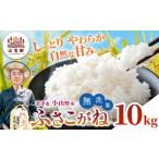無洗米 新米 令和7年産 小山野産 ふさこがね 10kg