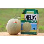 ふるさと納税 メロン メロン赤肉 北海道 赤井川村 （ティアラ） １玉入 やなぎさわ農園の甘い赤肉メロン