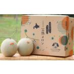 ふるさと納税 メロン メロン青肉 北海道 赤井川村 （黄味香） ４〜６玉入 やなぎさわ農園の甘い青肉メロン