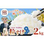 無洗米 新米 精米 白米 令和8年産 小山野産