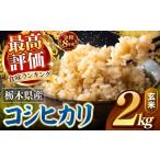 玄米 令和8年産 訳あり こしひかり 約2kg