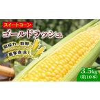 とうもろこし 訳あり スイートコーン ゴールドラッシュ 3.5…