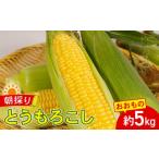 とうもろこし おおもの約5kg