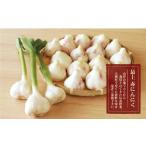 fu.... налог овощи вид приправа Yamagata префектура большой магазин . большой магазин . производство самый сверху красный чеснок 1kg