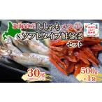 鮭 サーモン 産ししゃもメス大30尾 ソフトタイプ鮭とば