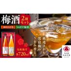 お酒 リキュール 梅酒蔵おおやま 梅酒セット
