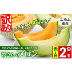 ふるさと納税 メロン メロン赤肉 鹿児島県 志布志市 冬限定・数量限定 牧さんの訳ありメロン 赤玉・白玉 計2玉(赤肉・青肉 各1玉) メロン マスクメロン 果物 …