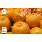 森本農園の手選別 ポンカン 約8kg