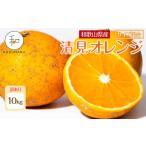 ふるさと納税 みかん・柑橘類 和歌山県 印南町 訳あり 森本農園の手選別 清見オレンジ 約10kg 和歌山県産 サイズ混合 ［北海道・沖縄・離島配送不可］［RN49］…