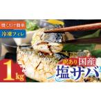 ふるさと納税 魚貝類 高知県 土佐清水市 訳あり 塩サバ 1kg 約6枚 さば 国産 冷凍 鯖 味付き 大きい フィーレ 切り身 魚介 海鮮 魚 おかず お弁当 ご飯 食品 …