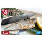 塩 さば サバ 高鮮度3D凍結 鮮度抜群 下処理不要