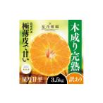 ショッピング甘平 ふるさと納税 みかん・柑橘類 愛媛県 八幡浜市  訳あり 星乃みかん園の甘平(3.5kg) D45-95 1625779