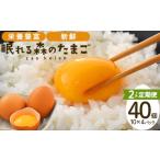 眠れる森のたまご 朝採れ卵40個 たまご