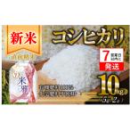 米 コシヒカリ 10kg