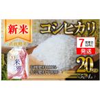 米 コシヒカリ 20kg