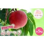 ふるさと納税 もも 福