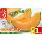 メロン メロン赤肉 訳あり 牧さんの訳ありメロン