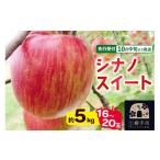 ふるさと納税 りんご 秋田県 横手市 先行受付 10月中旬より発送 シナノスイート約5kg(16〜20玉)りんご 秋田県横手市