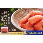 魚貝類 明太子 全6回定期便 ご やまや うちのめんたい