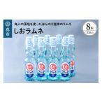炭酸飲料 しおラムネ8本セット 瓶ラムネ