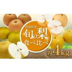 梨 2026 品種はおまかせ 旬の梨ミックス 4kg