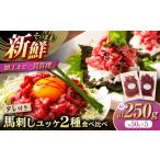 ふるさと納税 馬肉 熊本県 菊陽町 「フジチク」ユッケ2種の贅沢食べ比べセット　／ 馬刺し 熊本馬刺し 国産馬刺し 熊本 菊陽 ユッケ 赤身 タレ ?油 生姜 株式…
