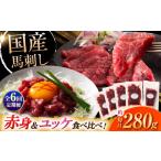 馬肉 全6回定期便 馬刺し 満喫セット 赤身